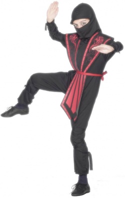Kostum ninja